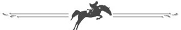 Pferde reiten Spaß Spass Springreiten Reitsport Dressur Fuchsjagd